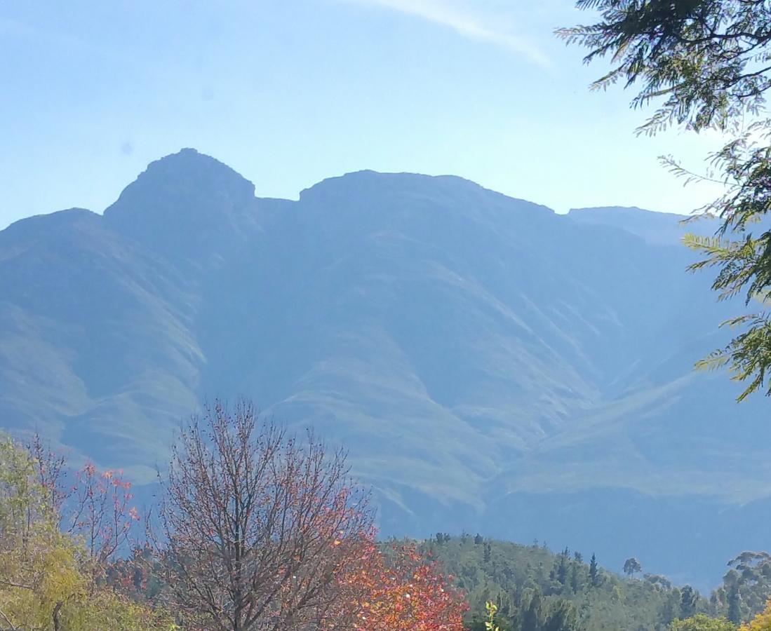 Bergview Guesthouse Swellendam Dış mekan fotoğraf